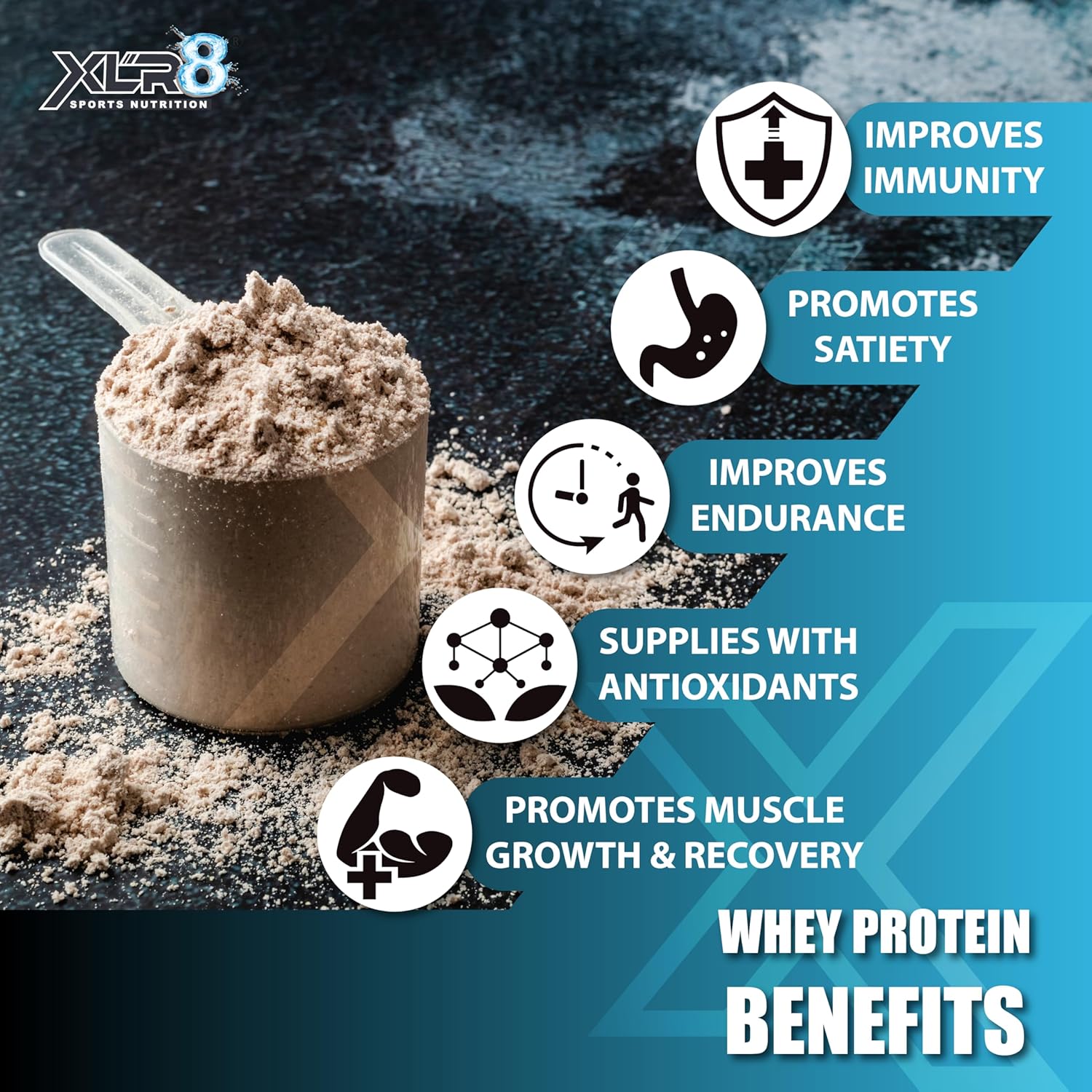 XLR8 Classic Whey Protein Powder, 24 g Protein, 5.5 BCAA, No Maltodextrin (907 g (Pack of 1), Cookies & Cream) - Image 8